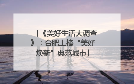 《美好生活大调查》：合肥上榜“美好焕新”典范城市