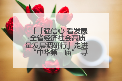 「强信心 看发展·全省经济社会高质量发展调研行」走进“中华第一庙” 寻根伏羲 祭祖龙城