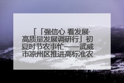 「强信心 看发展·高质量发展调研行」初夏时节农事忙——武威市凉州区推进高标准农田建设见闻