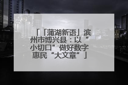「蒲湖新语」滨州市博兴县：以“小切口”做好数字惠民“大文章”