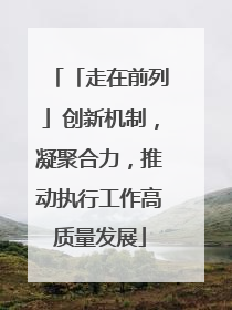 「走在前列」创新机制，凝聚合力，推动执行工作高质量发展
