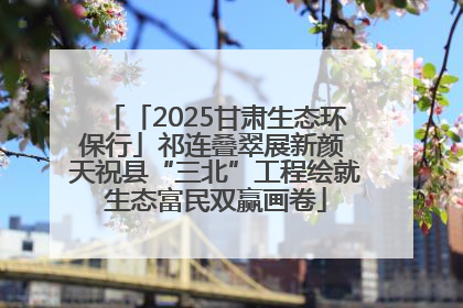 「2025甘肃生态环保行」祁连叠翠展新颜 天祝县“三北”工程绘就生态富民双赢画卷