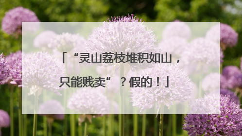“灵山荔枝堆积如山，只能贱卖”？假的！