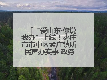 “爱山东·你说我办”上线！枣庄市市中区孟庄镇听民声办实事 政务服务暖心升级