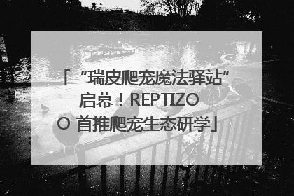 “瑞皮爬宠魔法驿站” 启幕！REPTIZOO 首推爬宠生态研学