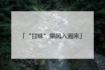 “甘味”乘风入湘来