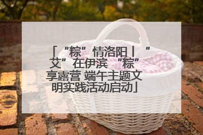 “粽”情洛阳丨“艾”在伊滨 “粽”享露营 端午主题文明实践活动启动
