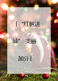“红树进城” 美丽加分