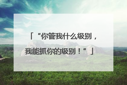 “你管我什么级别，我能抓你的级别！”