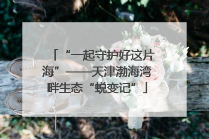 “一起守护好这片海”——天津渤海湾畔生态“蜕变记”