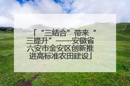 “三结合”带来“三提升”——安徽省六安市金安区创新推进高标准农田建设