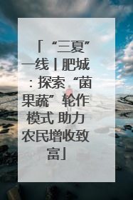 “三夏”一线丨肥城：探索“菌果蔬”轮作模式 助力农民增收致富