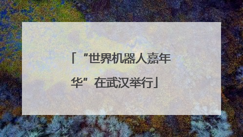 “世界机器人嘉年华”在武汉举行