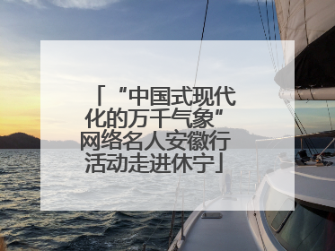 “中国式现代化的万千气象”网络名人安徽行活动走进休宁