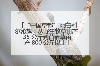 “中国草都” 阿鲁科尔沁旗：从野生牧草亩产 35 公斤到苜蓿草亩产 800 公斤以上