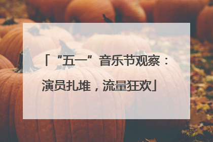 “五一”音乐节观察：演员扎堆，流量狂欢