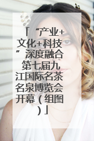 “产业+文化+科技”深度融合 第七届九江国际名茶名泉博览会开幕（组图）