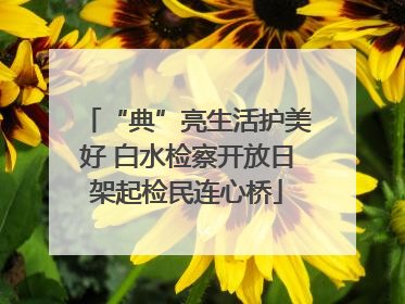 “典”亮生活护美好 白水检察开放日架起检民连心桥