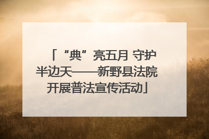 “典”亮五月 守护半边天——新野县法院开展普法宣传活动