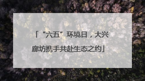 “六五”环境日，大兴廊坊携手共赴生态之约