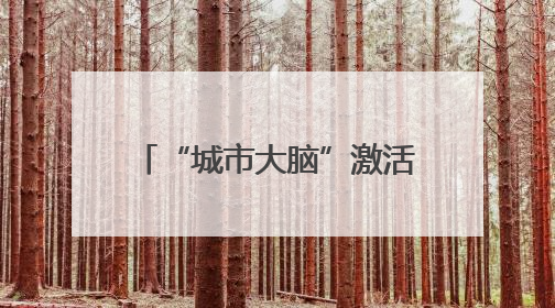 “城市大脑”激活航运服务业新动能