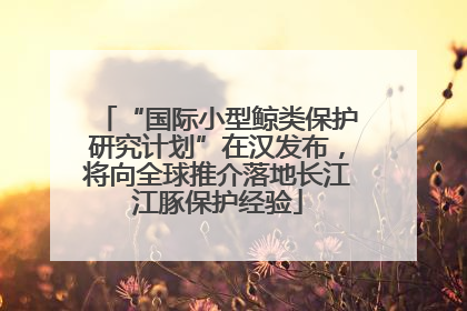 “国际小型鲸类保护研究计划”在汉发布，将向全球推介落地长江江豚保护经验