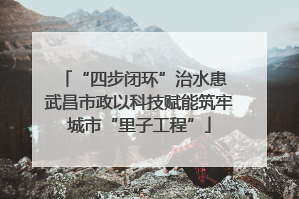 “四步闭环”治水患 武昌市政以科技赋能筑牢城市“里子工程”