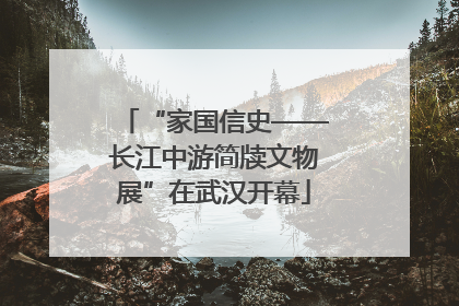 “家国信史——长江中游简牍文物展”在武汉开幕