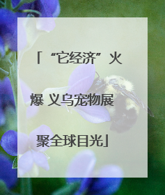 “它经济”火爆 义乌宠物展聚全球目光
