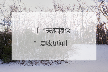 “天府粮仓”夏收见闻