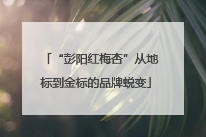 “彭阳红梅杏”从地标到金标的品牌蜕变