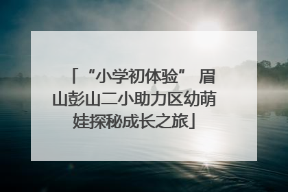 “小学初体验” 眉山彭山二小助力区幼萌娃探秘成长之旅