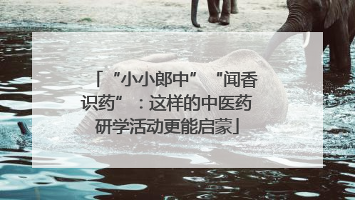 “小小郎中”“闻香识药”：这样的中医药研学活动更能启蒙