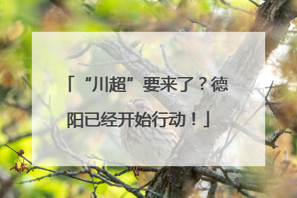 “川超”要来了？德阳已经开始行动！