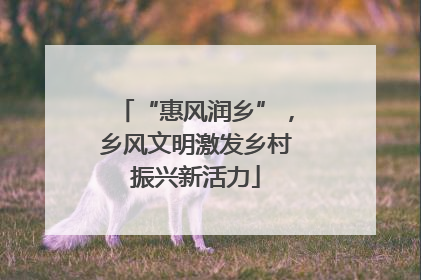 “惠风润乡”，乡风文明激发乡村振兴新活力