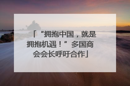 “拥抱中国，就是拥抱机遇！”多国商会会长呼吁合作