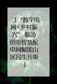 “数字电网+乡村振兴” 临汾供电智慧配电网赋能山区民生升级