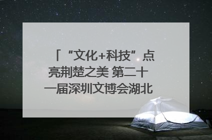 “文化+科技”点亮荆楚之美 第二十一届深圳文博会湖北馆抢“鲜”看