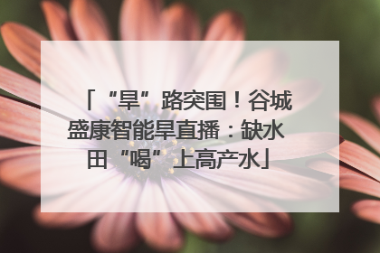 “旱”路突围！谷城盛康智能旱直播：缺水田“喝”上高产水