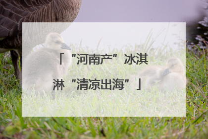 “河南产”冰淇淋“清凉出海”