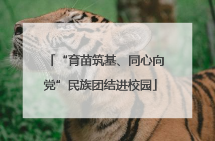 “育苗筑基、同心向党”民族团结进校园