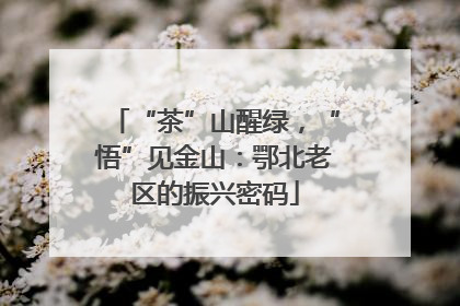 “茶”山醒绿，“悟”见金山：鄂北老区的振兴密码