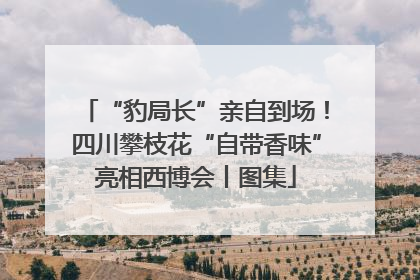 “豹局长”亲自到场！四川攀枝花“自带香味”亮相西博会丨图集