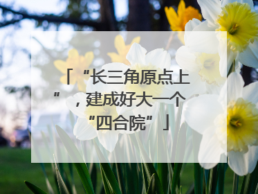 “长三角原点上”，建成好大一个“四合院”