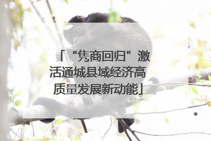 “隽商回归”激活通城县域经济高质量发展新动能