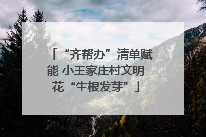 “齐帮办”清单赋能 小王家庄村文明花“生根发芽”
