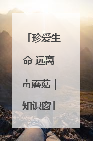 珍爱生命 远离毒蘑菇｜知识窗