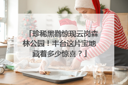 珍稀黑鹳惊现云岗森林公园！丰台这片宝地藏着多少惊喜？