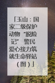 玉山：国家二级保护动物“脱险记” 警民爱心接力筑就生命驿站（图）