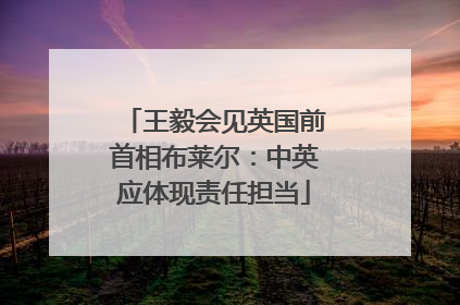 王毅会见英国前首相布莱尔：中英应体现责任担当